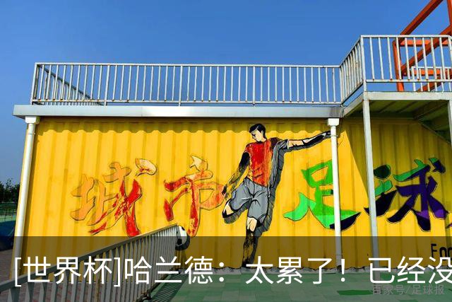[世界杯]哈兰德：太累了！已经没有力气踢加时